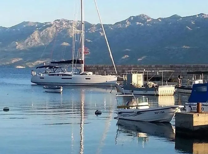 Vucic Апартаменты Ражанац