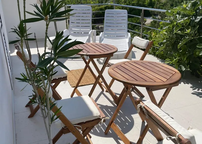 Vucic Ражанац